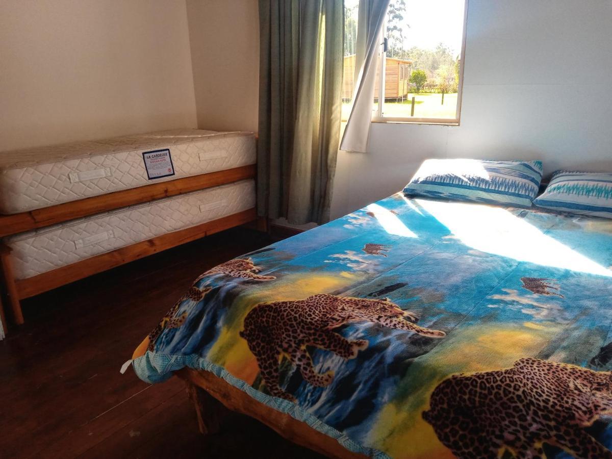 Casa Juanita N2 Holiday home Federacion